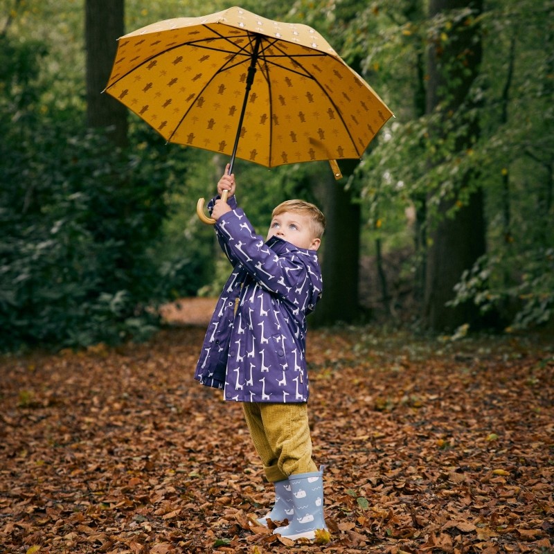 Kinder Regenschirm, Walfisch