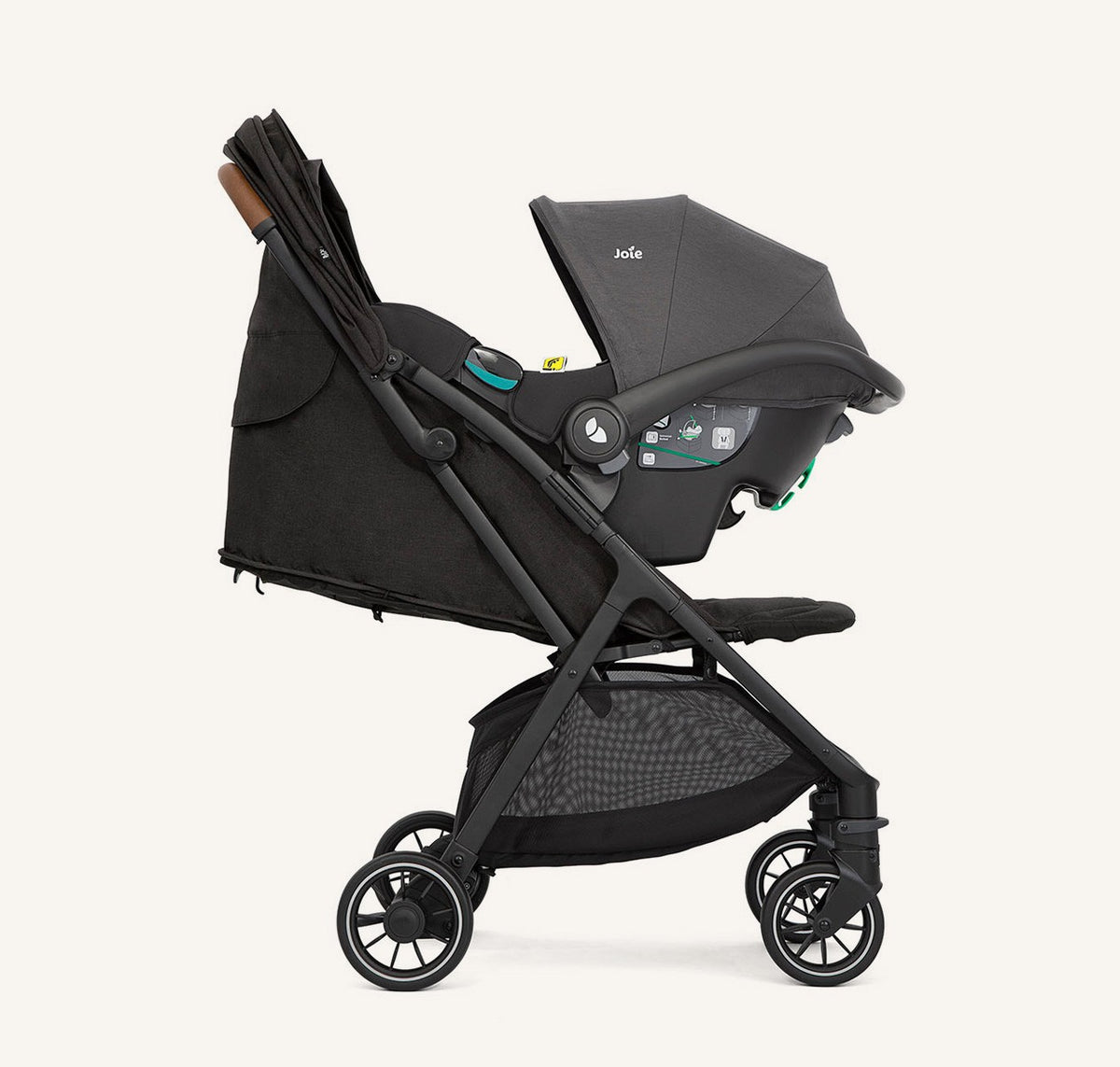 Pact Pro Reisebuggy, Shale