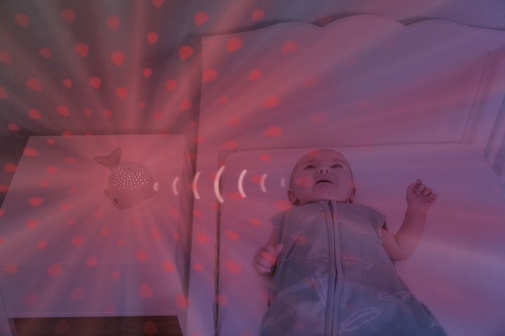 Wally der Wal Sternenprojektor mit beruhigenden Sounds